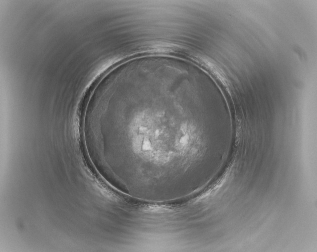 X0000116030835200911201253