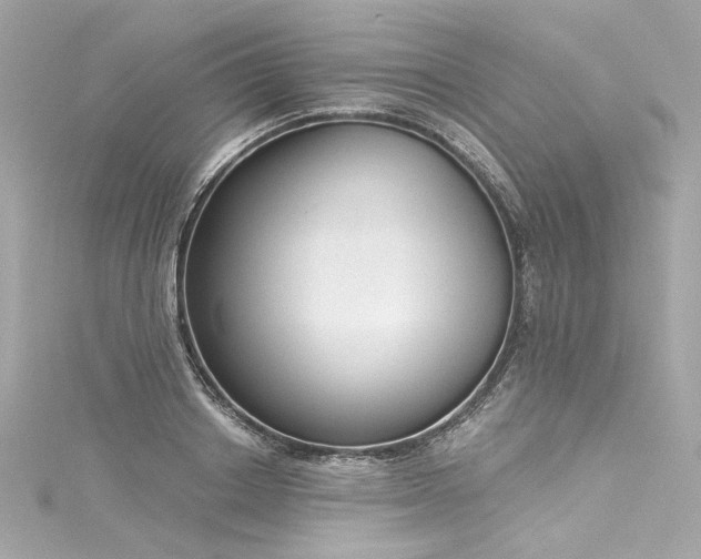 X0000116030842200911201253