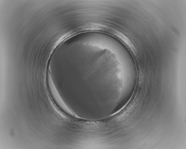X0000116030850200911201253