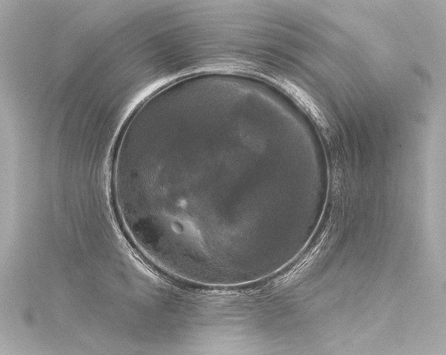 X0000116030854200911201253