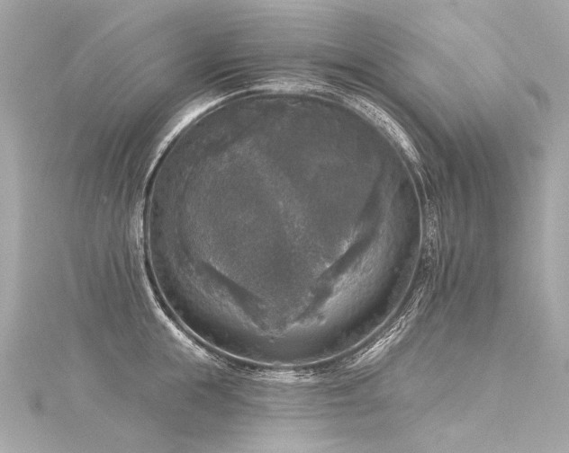 X0000116030855200911201253