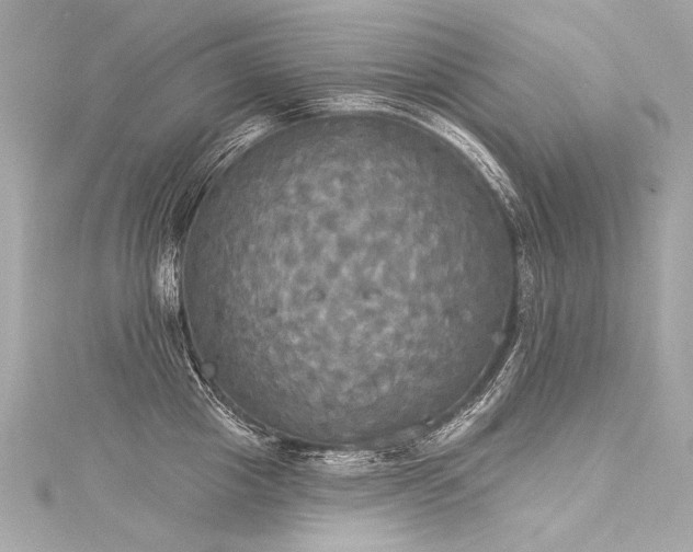 X0000116030857200911201253