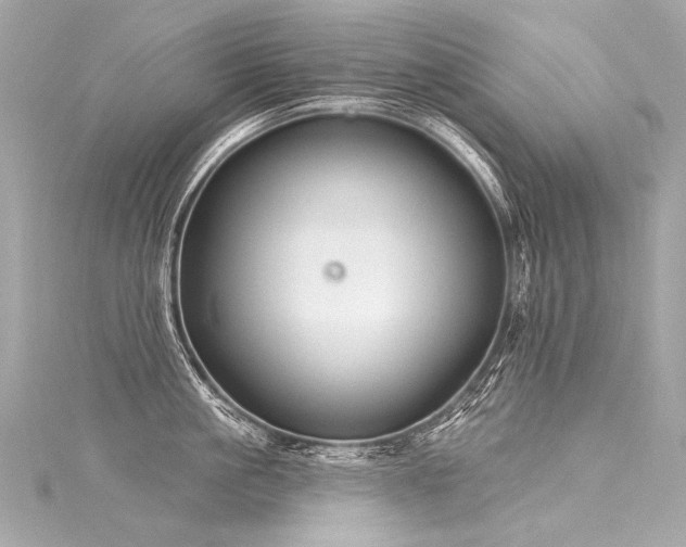 X0000116030861200911201253