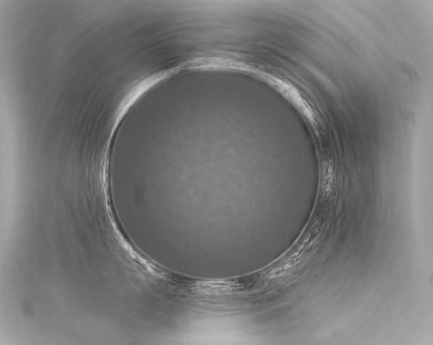 X0000116030863200911201253