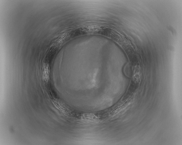 X0000116030866200911201253