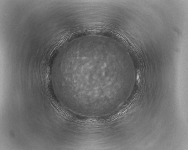 X0000116030867200911201253