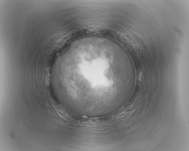 X0000116030868200911201253