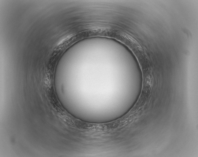 X0000116030869200911201253