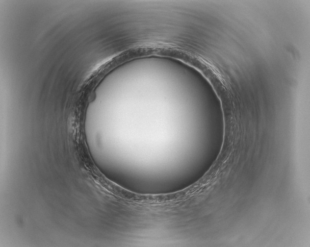 X0000116030872200911201253