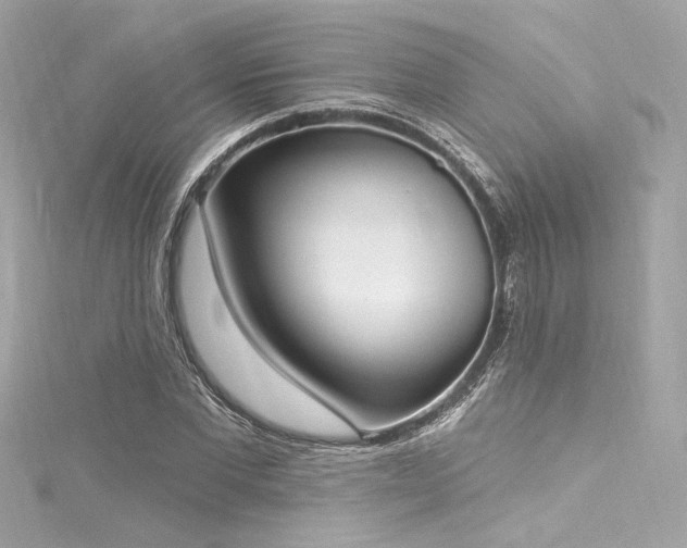 X0000116030877200911201252