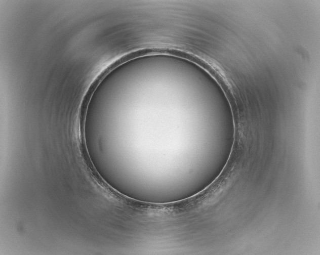 X0000116030887200911201252