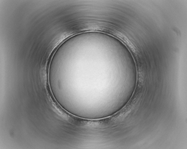 X0000116030890200911201252