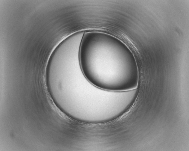 X0000116030892200911201252