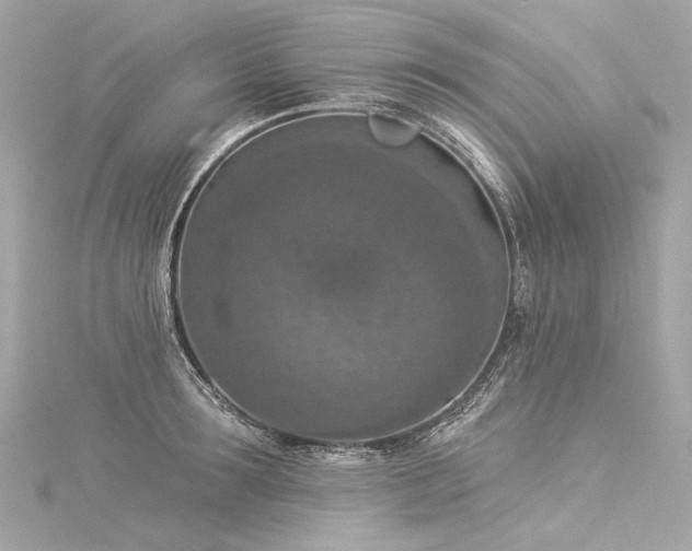 X0000116030899200911201252