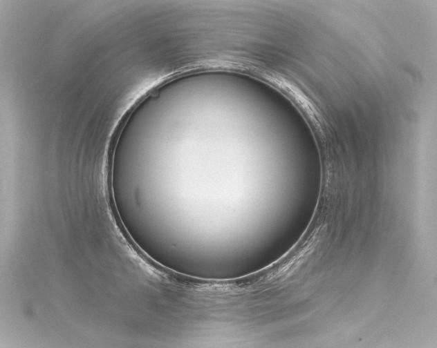 X0000116030902200911201252