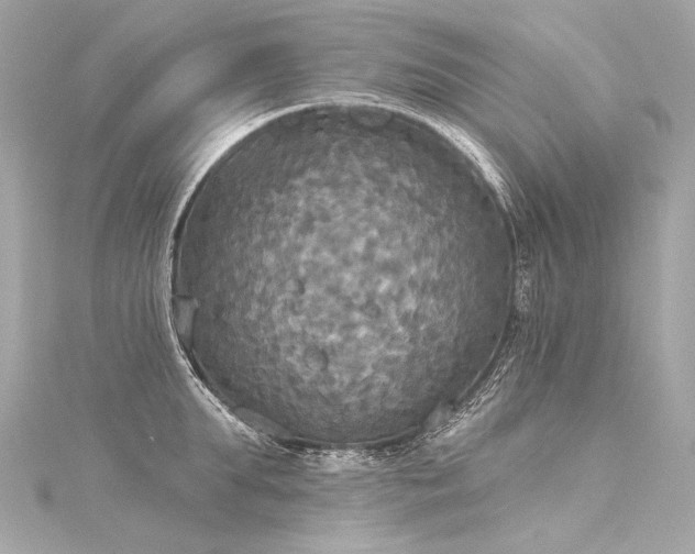 X0000116030903200911201252