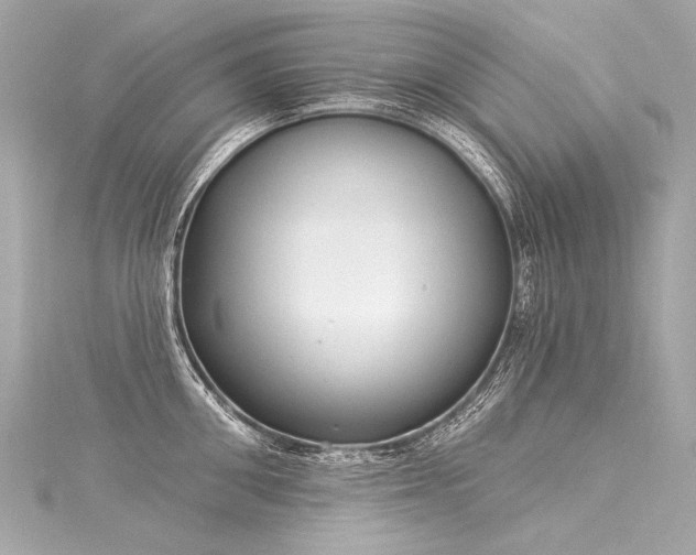 X0000116030906200911201252