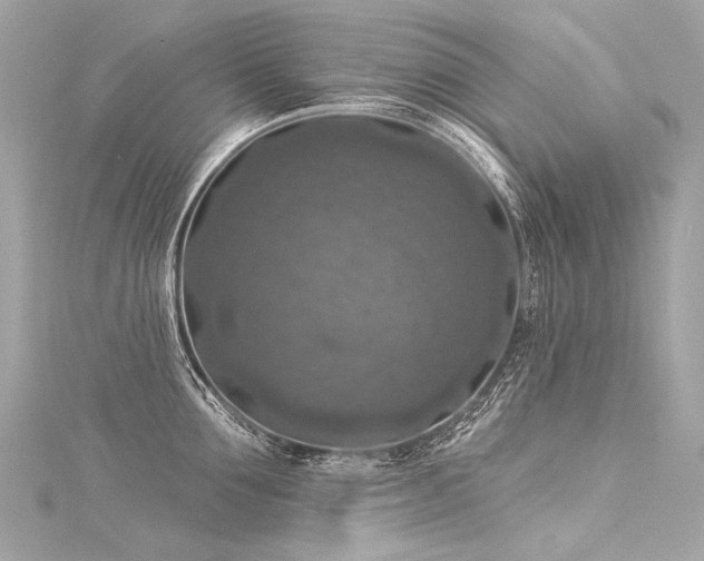 X0000116030907200911201252