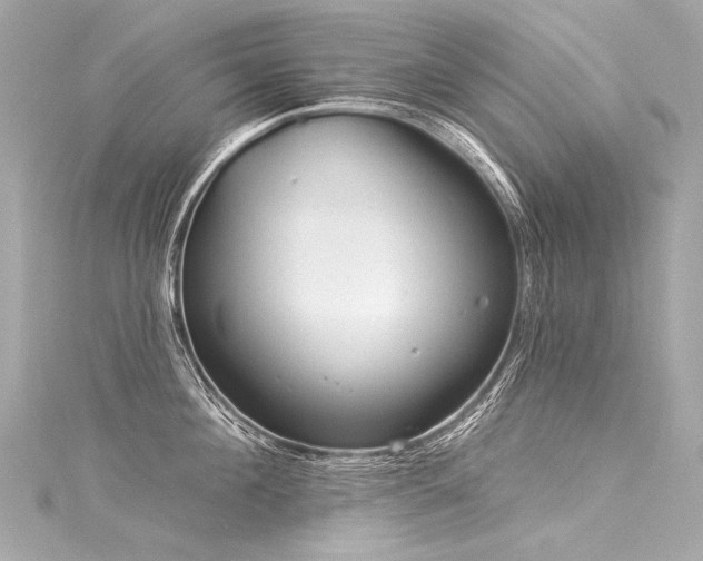 X0000116030908200911201252