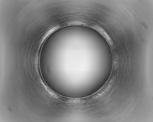 X0000116030909200911201252