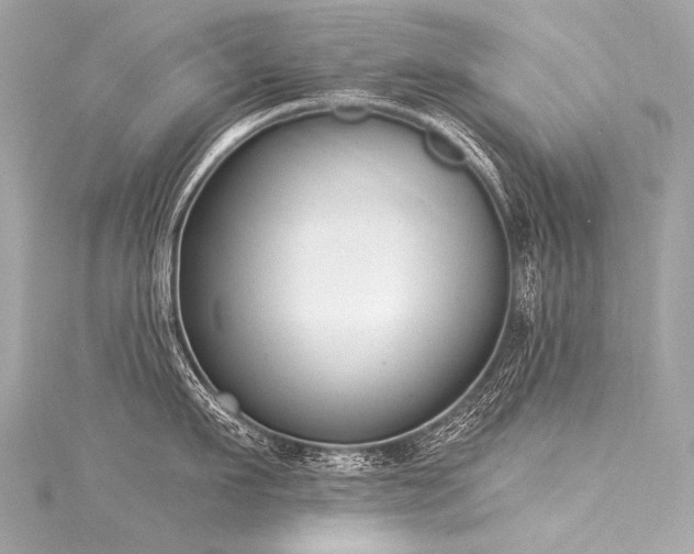 X0000116030911200911201252