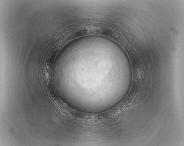 X0000116030914200911201251