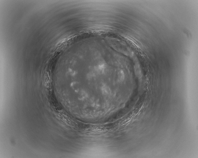 X0000116030917200911201251
