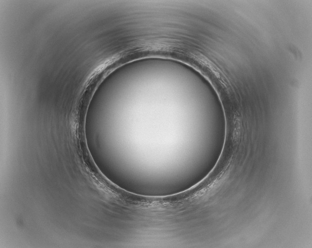 X0000116030922200911201252