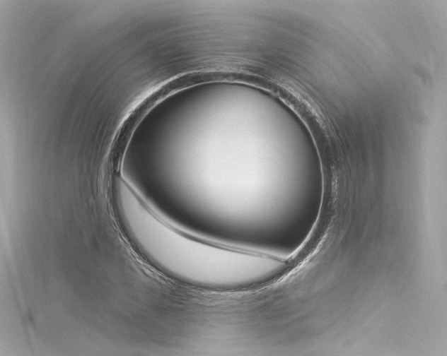 X0000116030925200911201252