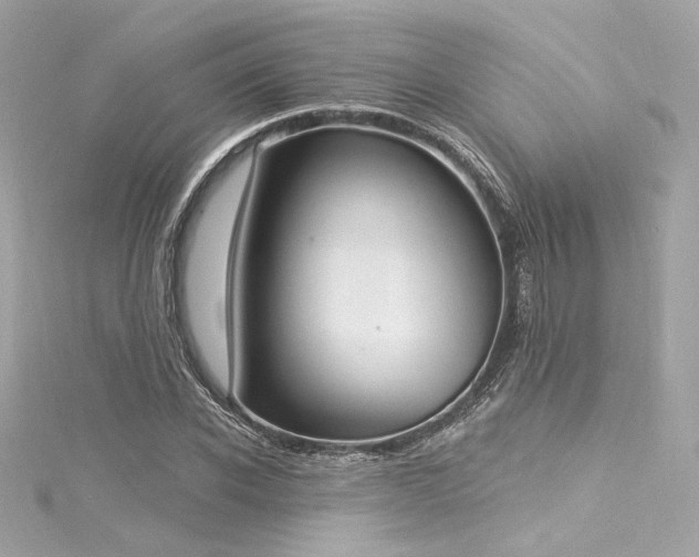 X0000116030926200911201252