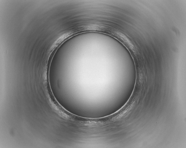X0000116030938200911201252