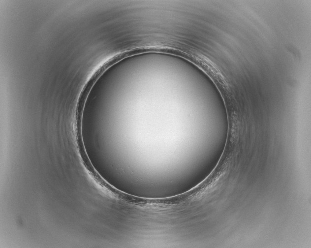 X0000116030942200911201252