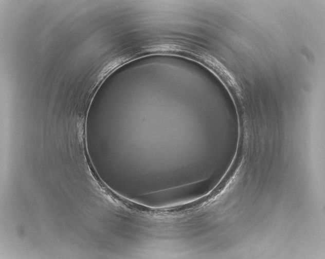 X0000116030945200911201252