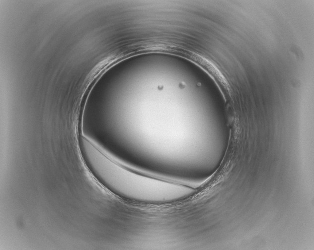 X0000116030946200911201252