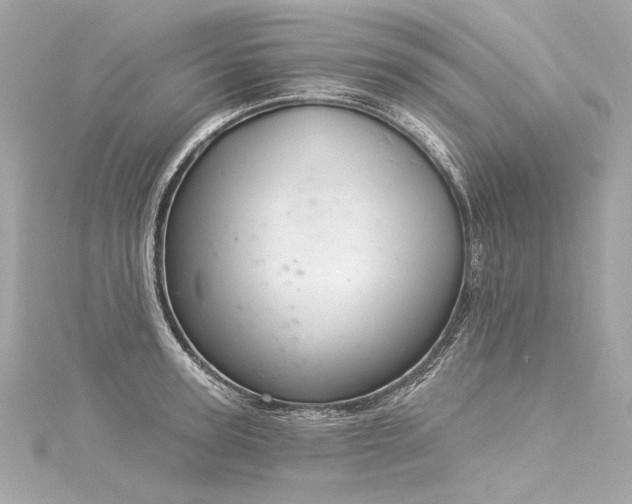 X0000116030947200911201252