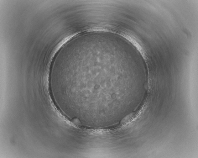 X0000116030949200911201252