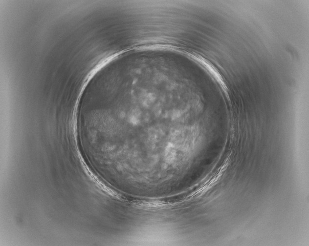 X0000116030957200911201252