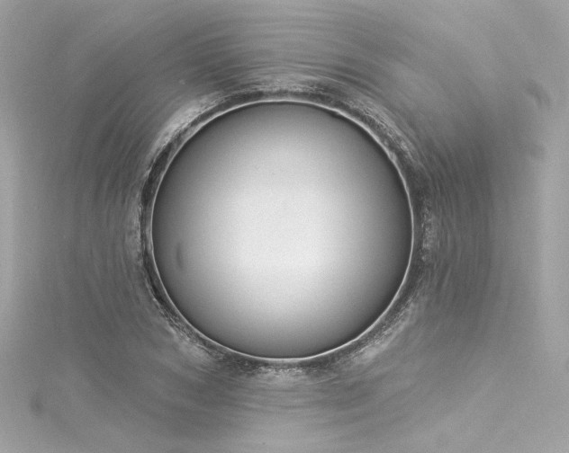 X0000116030978200911201251