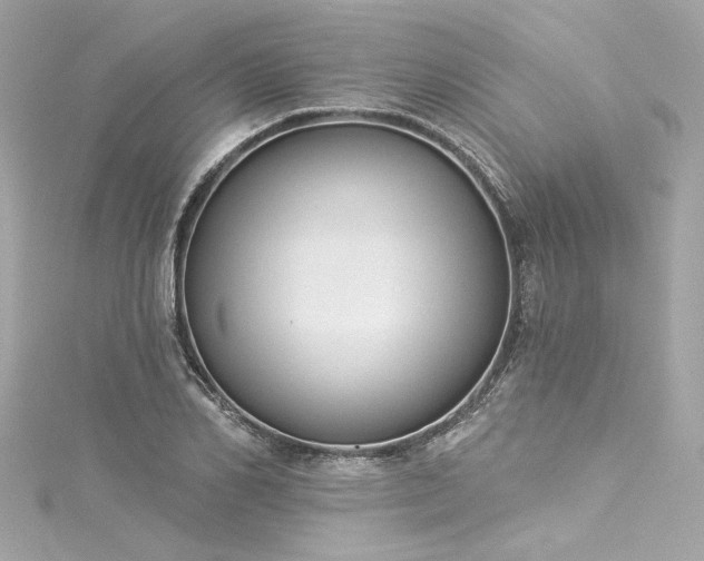 X0000116030982200911201251