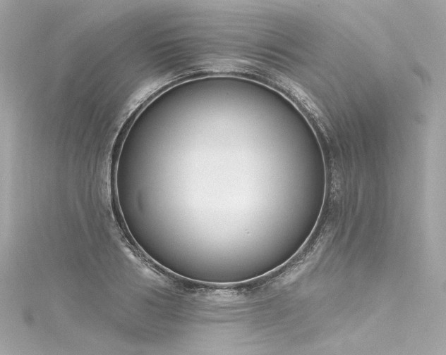 X0000116030986200911201251