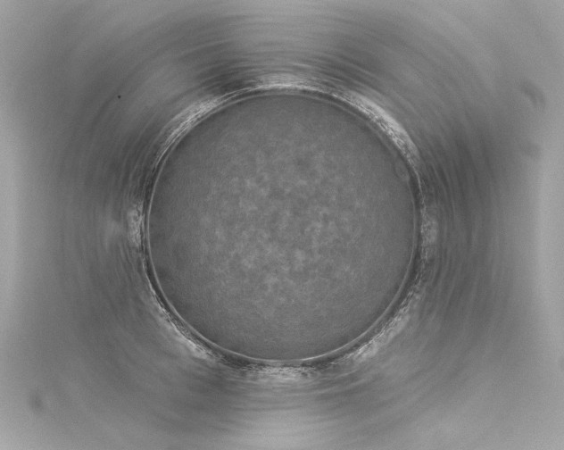 X0000116030993200911201251