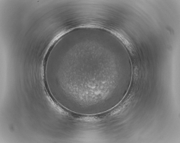X0000116030998200911201251