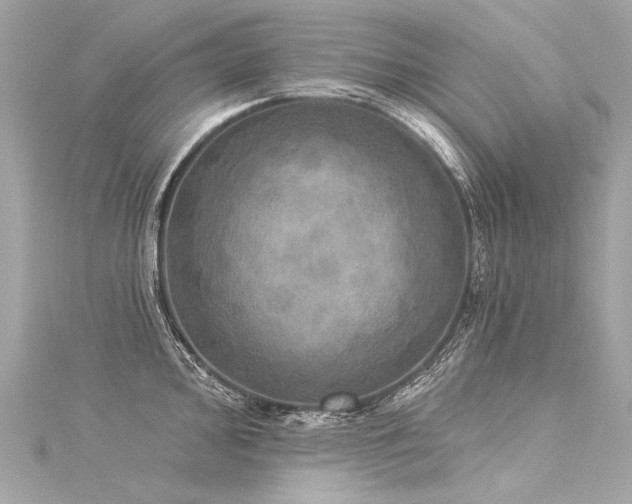 X0000116031000200911201251