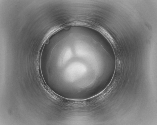X0000116031002200911201251