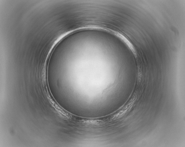 X0000116031004200911201251