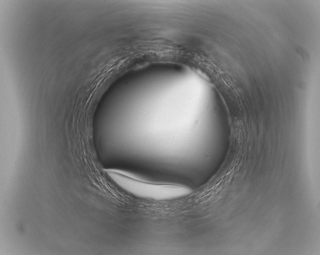 X0000116031009200911201250