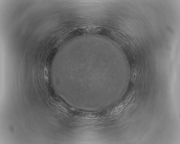 X0000116031010200911201250