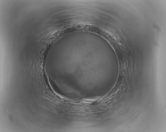 X0000116031013200911201250