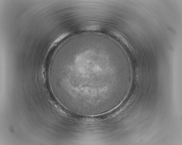 X0000116031018200911201250