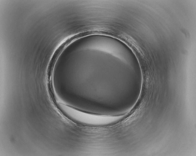 X0000116031024200911201250